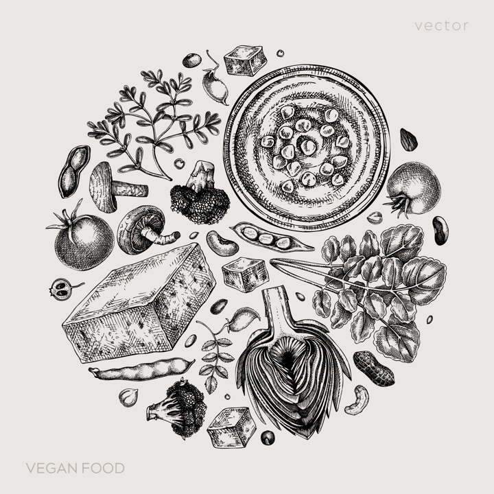Vegan food sketched illustration Healthy food banner template. Middle eastern cuisine design. Hand-drawn vegan meals and ingredients for menu, recipe, and packaging. Vintage food sketches